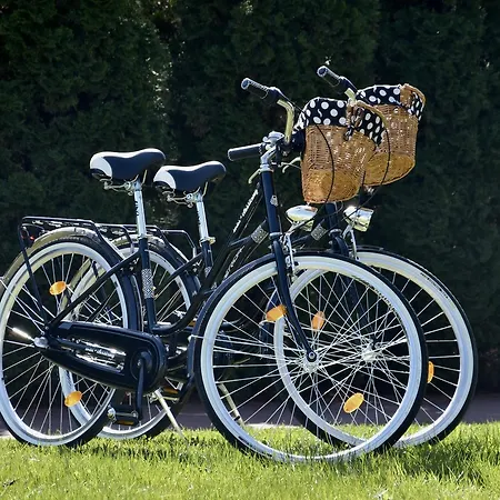 Restauracja Tenis Kortowo פוזנן